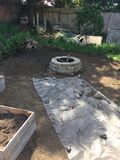 Fire Pit Area