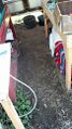 Fig 15: Ground of wash station – site of old greywater system