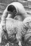 Thumbnail for version as of 01:22, 6 January 2007