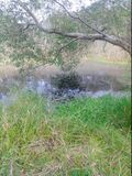 Figure 1-3: Photo of T4T (upstream)