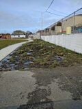 The site before any work has been done.