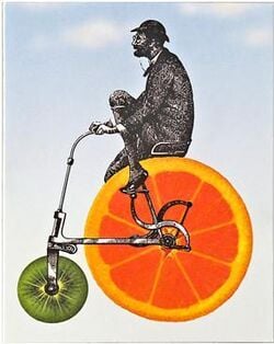 250px-Lca_food_cycle.JPG
