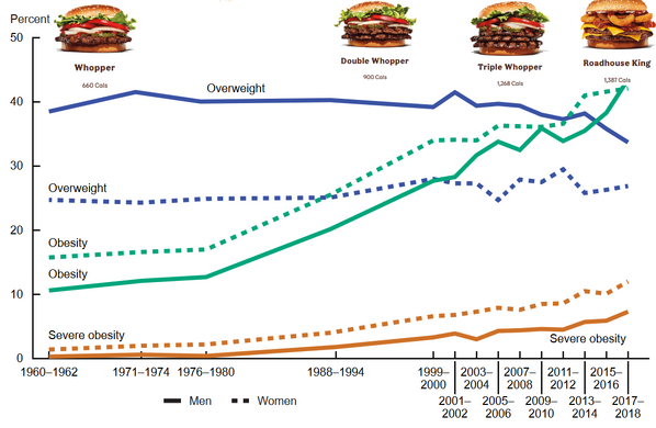 File:Burgersonobesity.png