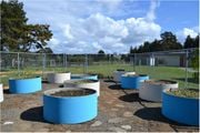 Spring 2014: Zane Middle School Design and build sustainable educational infrastructure and apparatuses that supports K-8 education at their Eureka, CA location.