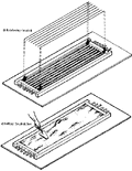 Thumbnail for version as of 01:26, 6 January 2007