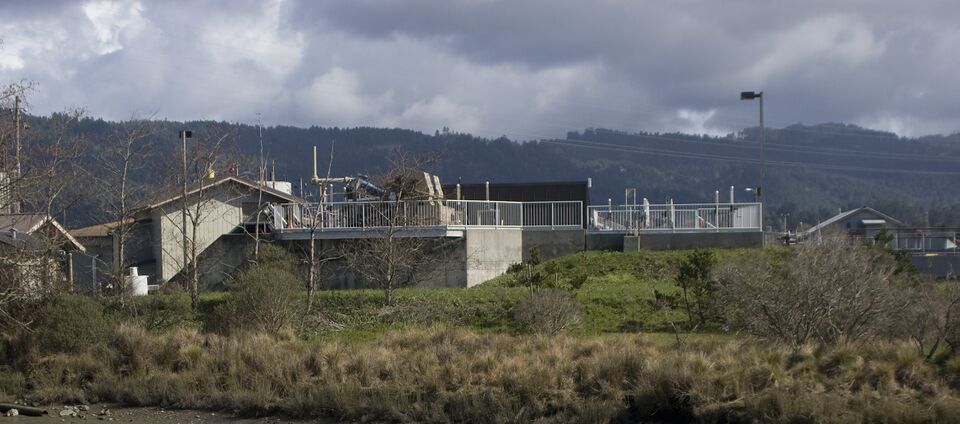File:Arcata-6684.jpg