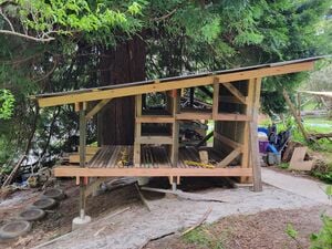 Shed with completed shelving