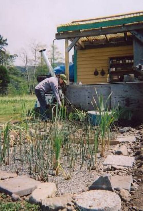 File:AEFcurrentmarsh.jpg