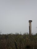Thumbnail for version as of 06:05, 20 November 2008