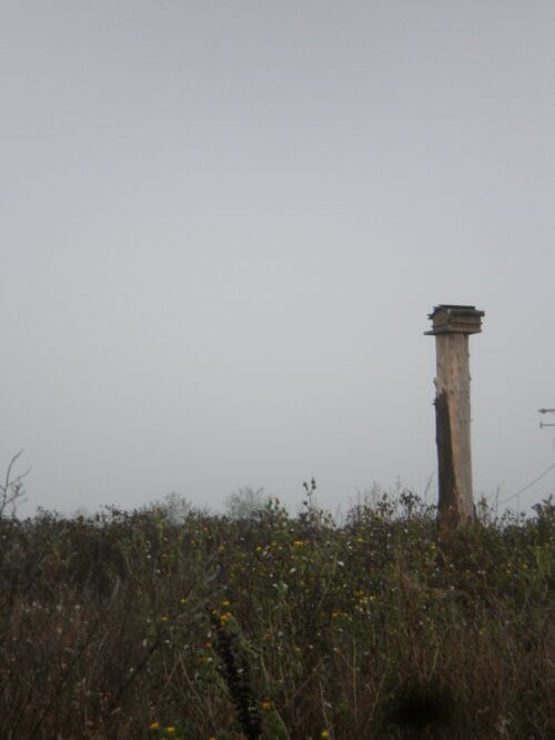 File:Birdhouse.jpg
