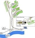 LEAF: Logger for Ecological and Atmospheric Factors