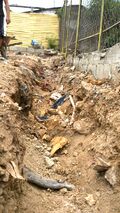 Digging to desired depth. Back trench contained a large amount of trash.