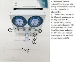 300px-Lungsetup_MITTL.jpg
