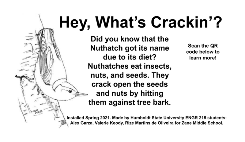 File:Nuthatch Homestead 9.5 x5.5.png