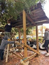 Deconstructing the existing shed on site
