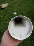 Foam support in container