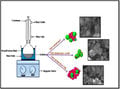 Dual morphology titanium dioxide for dye sensitized solar cells