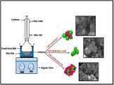 Dual morphology titanium dioxide for dye sensitized solar cells