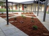 Spring 2015: Zane Middle School Design and build sustainable educational infrastructure and apparatuses that supports K-8 education at their Eureka, CA location.