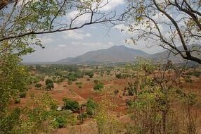 Malawi 01.jpg