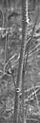 Thumbnail for version as of 01:22, 6 January 2007