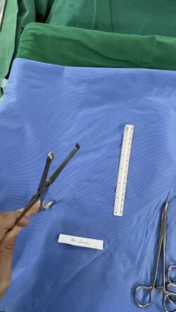 Allis forceps, end view