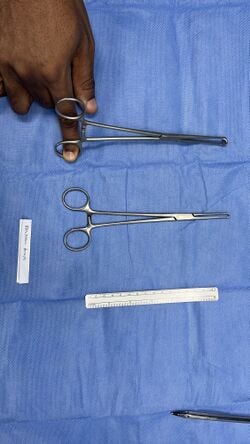 Allis forceps, medium or standard size