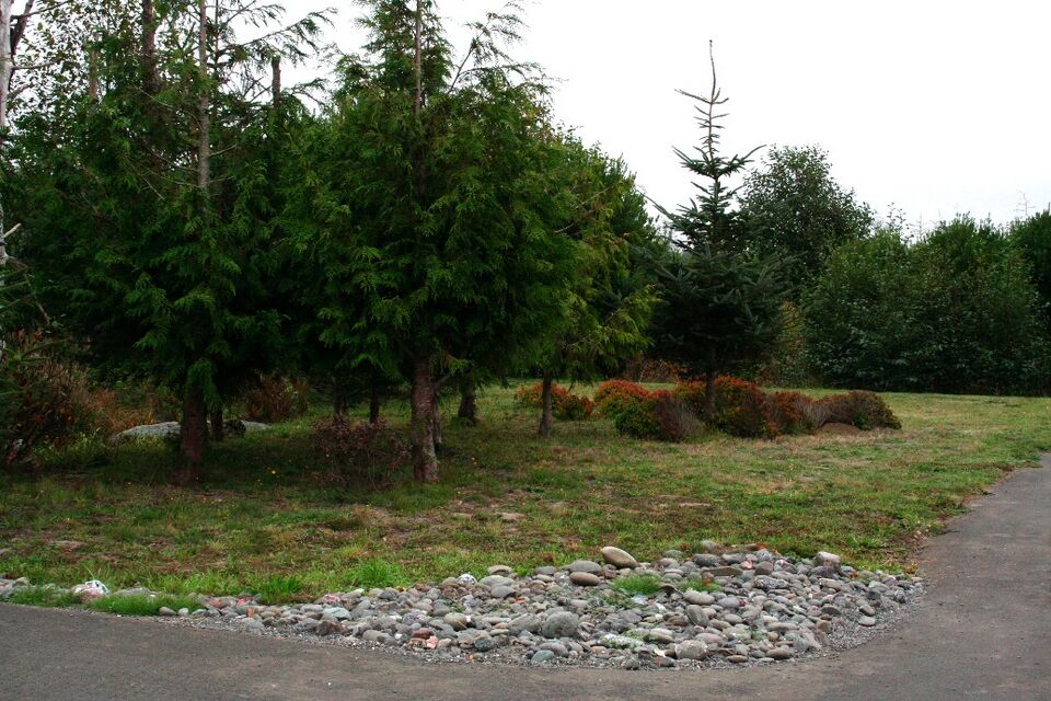 File:Potawot plantingmethod cluster 1.jpg