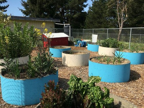 The composter in the garden at Zane Middle School