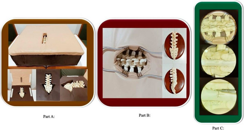 A three-part figure of a low-cost spine surgery simulator: a book-fold foam block, a saw-bone spine exposed with retractors, and microscope views of a laminectomy with a latex-glove dura.