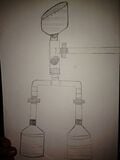Before:Sketch:The first flush