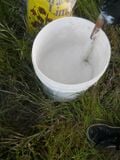 Fig.26 Slake the lime in a bucket before adding pigment.