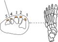 Thumbnail for version as of 18:07, 27 October 2022