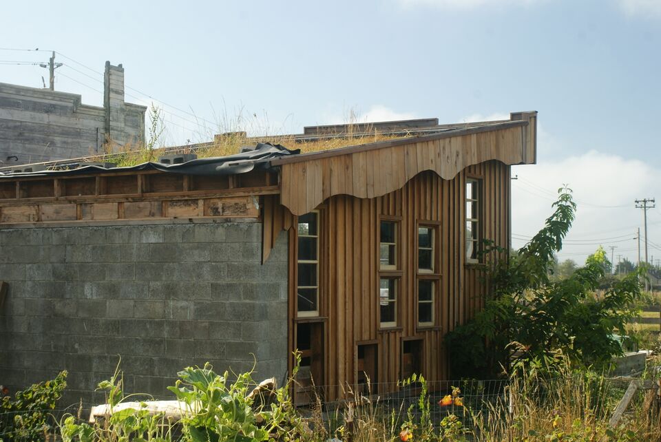 File:Grassfedshed grass.jpg