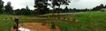 A panoramic view of the edible landscaping