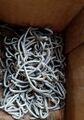 The box of spare hog rings.