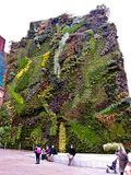 Large mounted garden on outside of building.