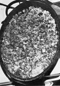 Thumbnail for version as of 01:22, 6 January 2007