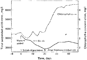 The combination of algal and anaerobic waste treatment in a ...