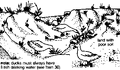 Thumbnail for version as of 01:24, 6 January 2007