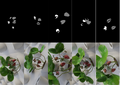 From blender to farm: Transforming controlled environment agriculture with synthetic data and SwinUNet for precision crop monitoring
