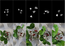 From blender to farm: Transforming controlled environment agriculture with synthetic data and SwinUNet for precision crop monitoring