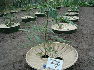 330px-Ecovillages-network-8774.jpg