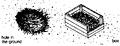 Thumbnail for version as of 01:24, 6 January 2007