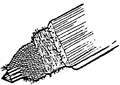 Thumbnail for version as of 01:27, 6 January 2007