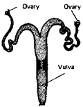 Thumbnail for version as of 01:24, 6 January 2007
