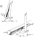 Thumbnail for version as of 01:26, 6 January 2007