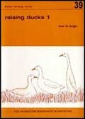 Thumbnail for version as of 01:23, 6 January 2007
