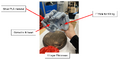 Thumbnail for version as of 01:54, 2 December 2024
