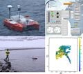 An Affordable and Portable Autonomous Surface Vehicle with Obstacle Avoidance for Coastal Ocean Monitoring